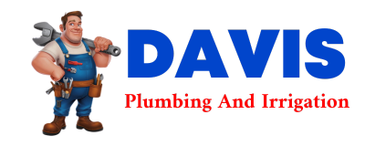 Trusted plumber in CEBOLLA